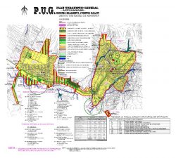 PUG Balasesti RLU1.1